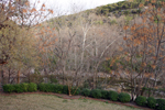 Barton Creek View